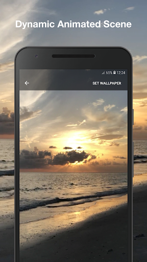 Animated Beach Wallpaper Pro Screen 2