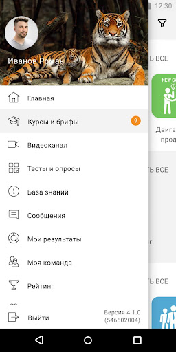 Tigrus Expert Screen 2