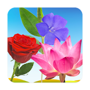 Top 29 Educational Apps Like Flowers Learning Flashcards - Best Alternatives