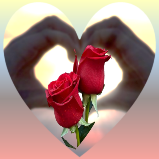 Rosas De Colores Para Dedicar logo