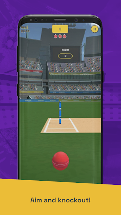 Run Out Champ: Hit Wicket Game - Screenshot 4