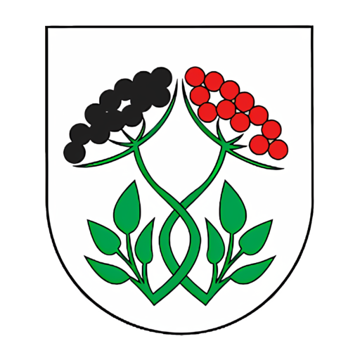Bzince pod Javorinou logo