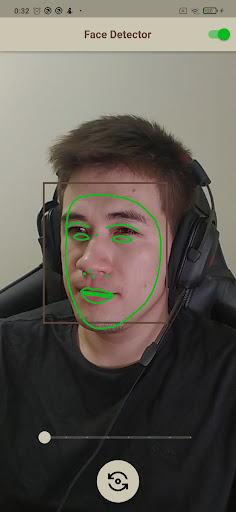 Face Detector