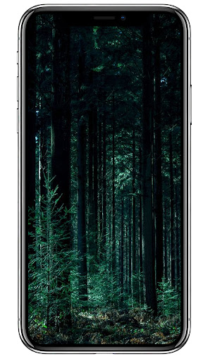 Green Aesthetic Wallpapers HD Screen 3