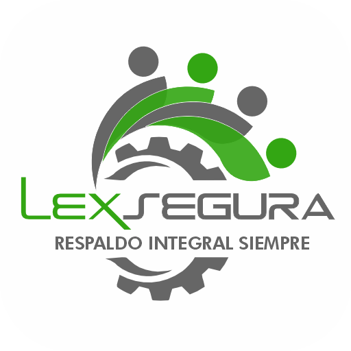 Lexsegura Download on Windows