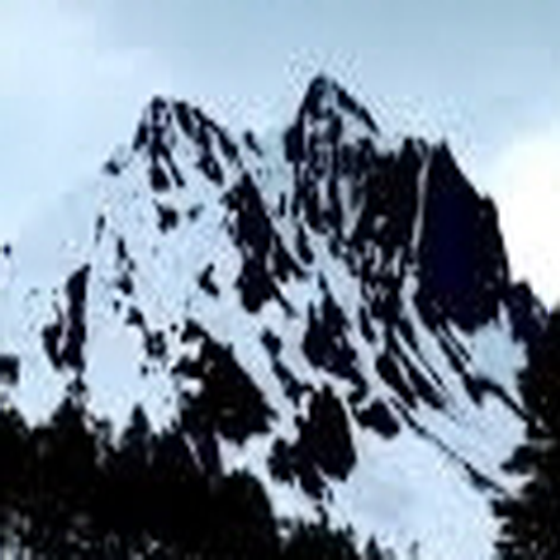 로키산맥의 비밀 게임북