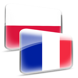Icon image Słownik francuski OFFLINE