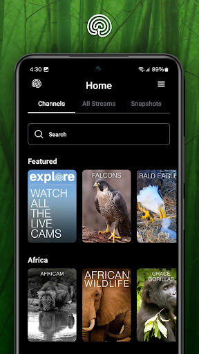 explore.org Screen 3