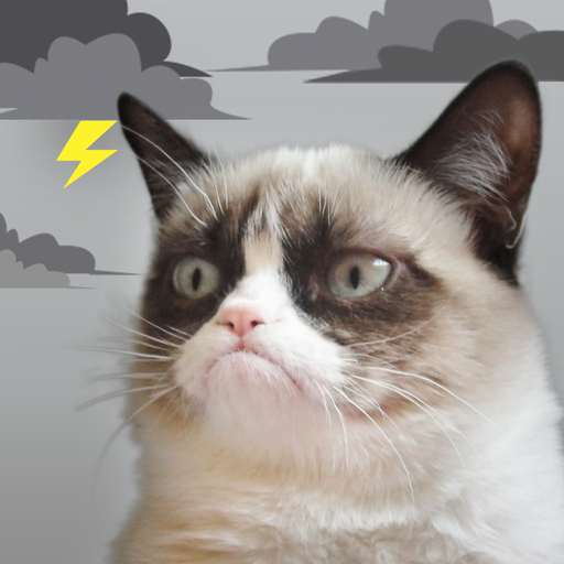 Grumpy Cat Weather Logo
