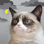 Cover Image of Download Grumpy Cat Weather  APK
