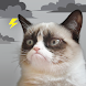 Grumpy Cat Weather - Androidアプリ