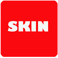 Skin for Mini World