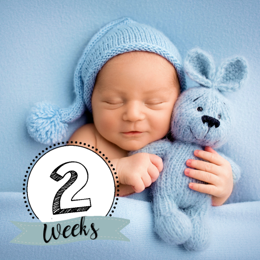 Baby Story Photo Editor App logo