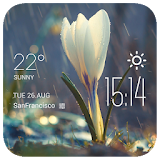 Raining Flower weather widget icon