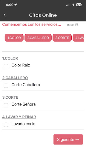 Peluqueria Canina Kiku Screen 3