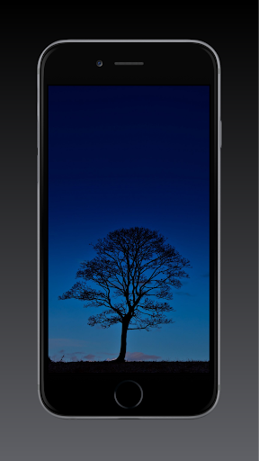 Tree Wallpaper HD, GIF Screen 2