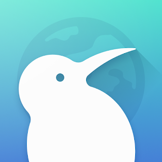 Kiwi Browser - Fast & Quiet (v.124.0.6327.3) for Android - Geometry OU