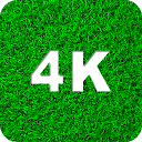 ダウンロード Green Wallpapers 4K をインストールする 最新 APK ダウンローダ