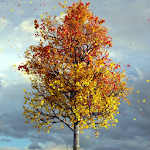 Cover Image of 下载 Autumn Maple Wallpaper Pro  APK