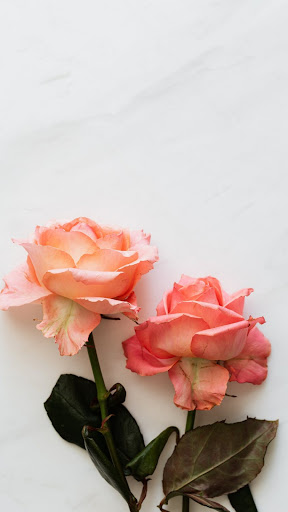 Pink Wallpapers Screen 2