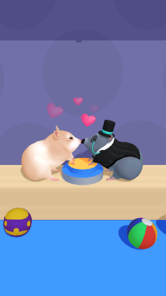 Hamster Maze - Screenshot 4