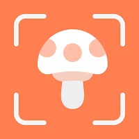MushroomID-Mushroom identifier