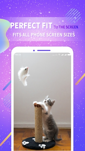 Android application Video Live Wallpaper screenshort