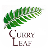 Curry Leaf icon