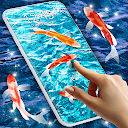 Fish 4K HD Koi Live Pond 3D 