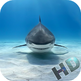 Sharks Video Live Wallpaper icon