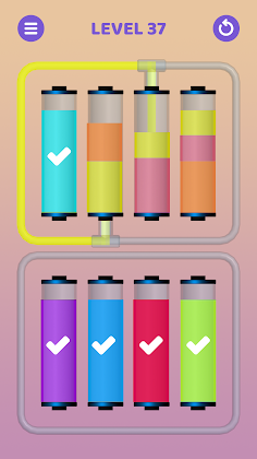 Color Sort - Screenshot 3