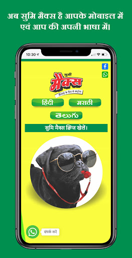 Sumi Max Screen 2