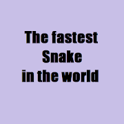 The fastest Snake in the world