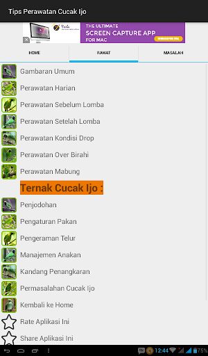 Tips Perawatan Cucak Ijo Screen 3