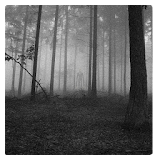 Slenderman's Forest LW icon