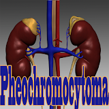 Pheochromocytoma icon