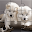 Cute Puppy Jigsaw Puzzles APK icon