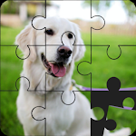 Cover Image of Download Jigsaw Puzzles - Block Puzzle  APK
