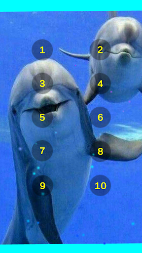 Android application Dolphin Sounds Of The Sea screenshort