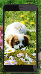Puppies and Flowers Wallpaper