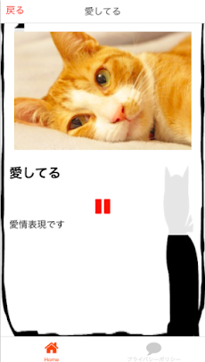 猫の鳴き声で猫語翻訳  猫と会話ができるアプリのおすすめ画像5