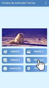 Screenshot 7 Fondos de Animales Tiernos android
