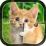 Learn Animals - Puzzle Game icon