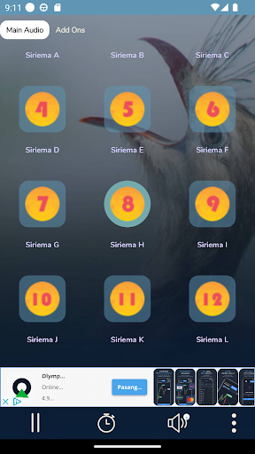 Canto Da Siriema Para Atrair Screen 3