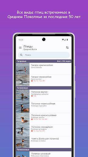 Android application Птицы Средней Волги screenshort