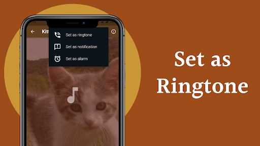 Kitten Sounds Screenshot 4 - AppWisp.com