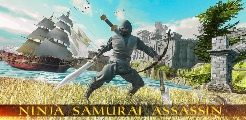 Ninja Samurai Assassin Heros