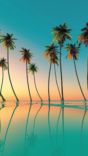 Palm Tree Wallpaper Screen 3