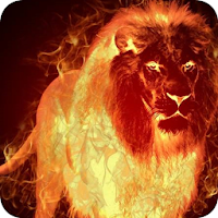 Fire Wallpaper – Fire Lion Backgrounds