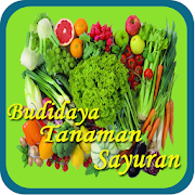 Budidaya Tanaman Sayuran